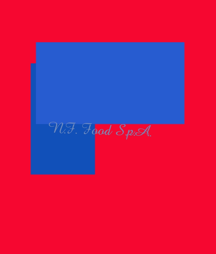 N.F. Food S.p.A.