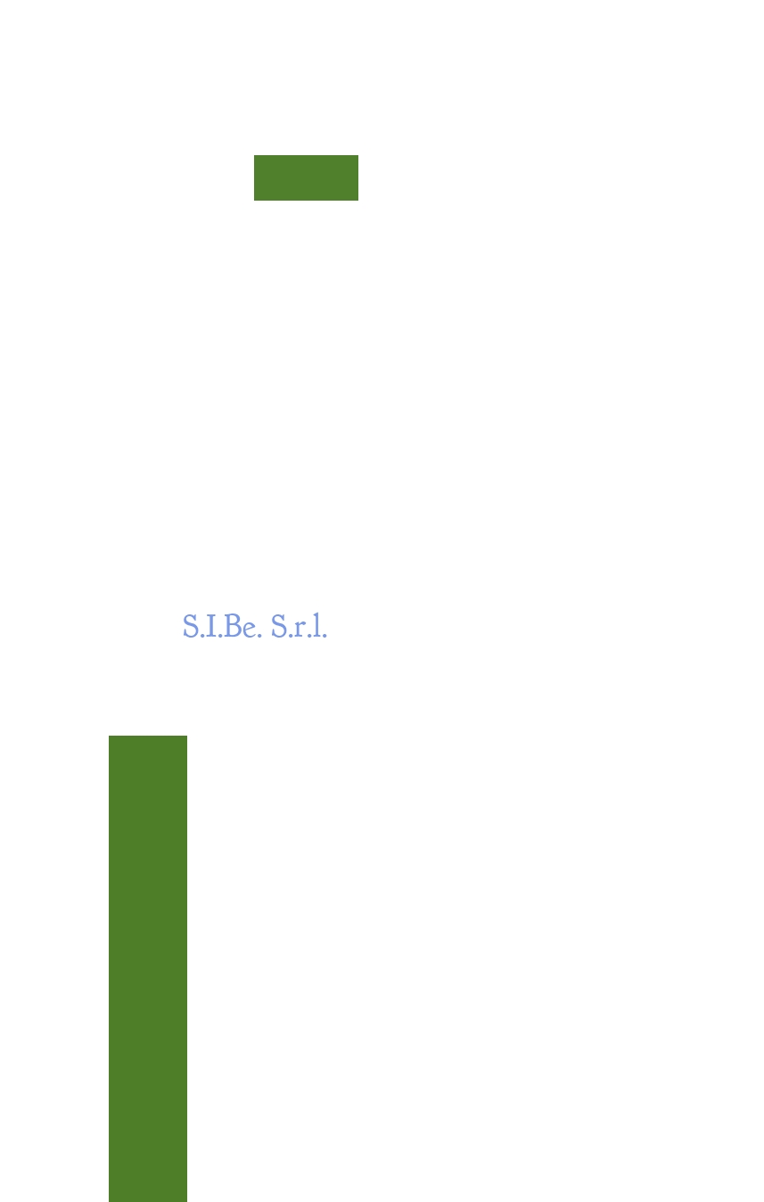S.I.Be. S.r.l. S.I.Be. S.r.l.