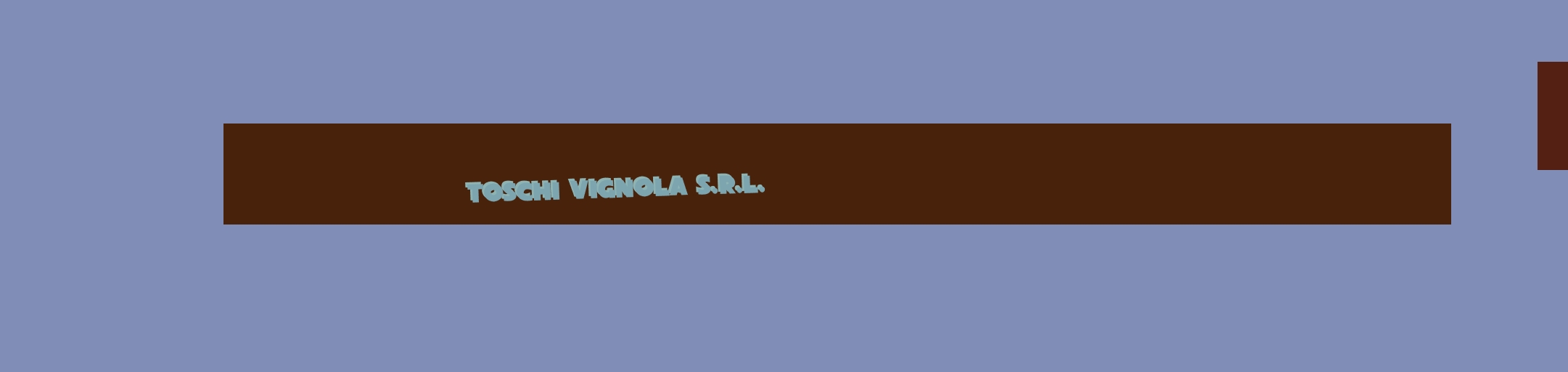 Toschi Vignola S.r.l. Toschi Vignola S.r.l.