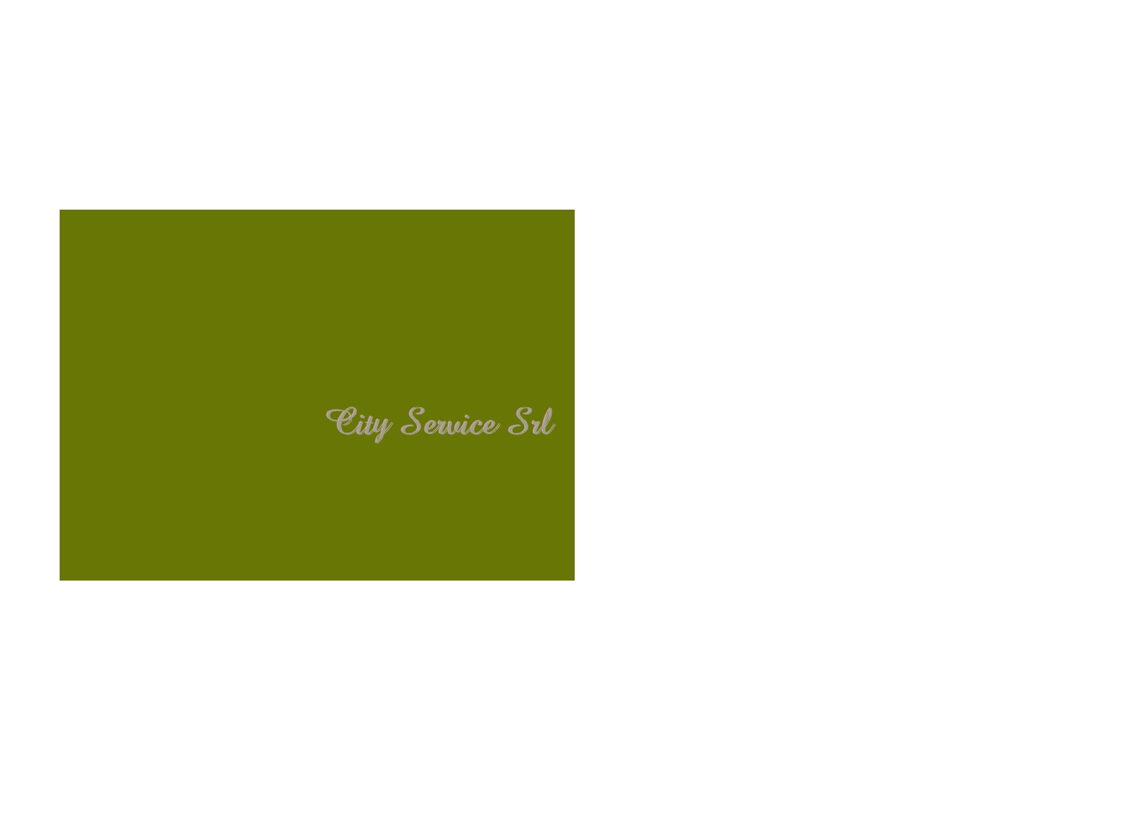 City Service Srl