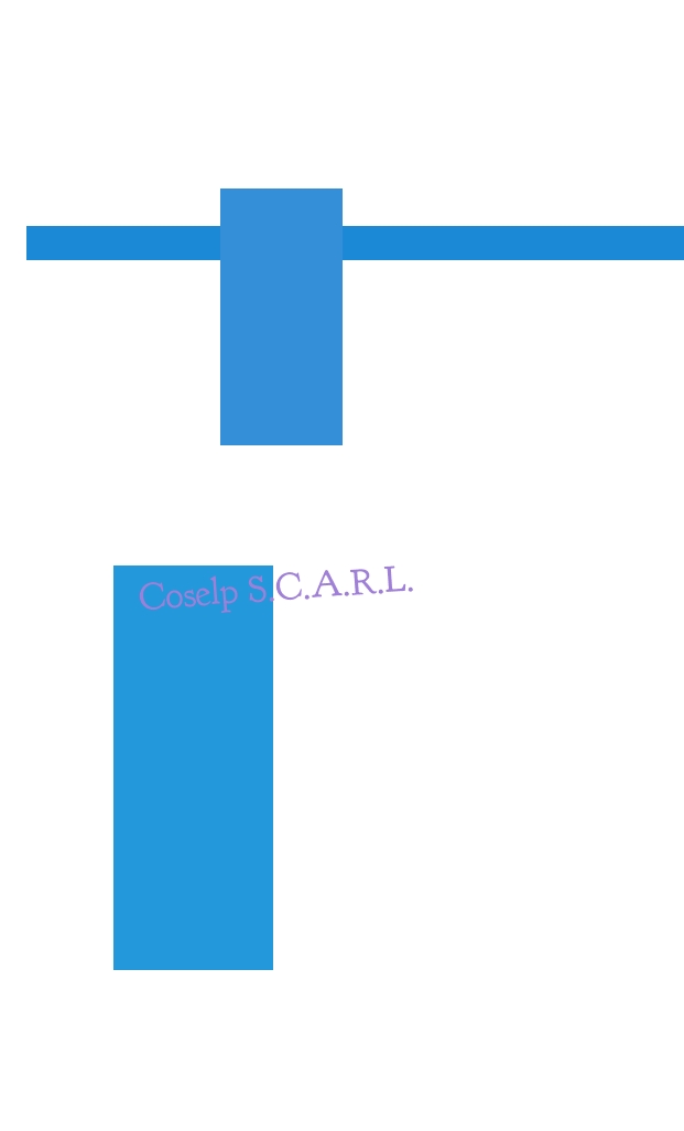 Coselp S.C.A.R.L. Coselp S.C.A.R.L.