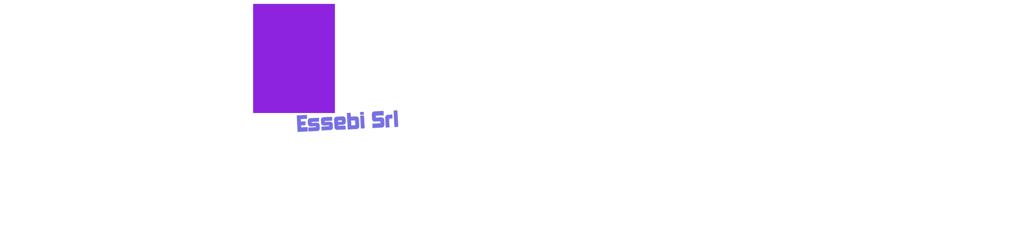 Essebi Srl Essebi Srl