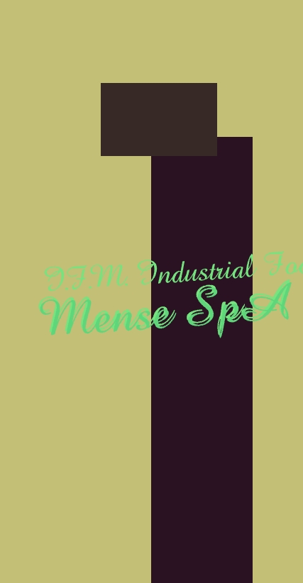 I.F.M. Industrial Food Mense SpA I.F.M. Industrial Food Mense SpA