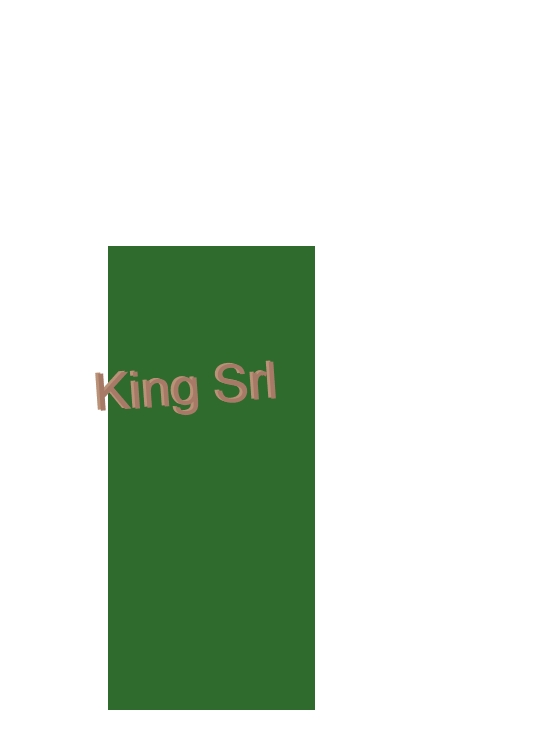 King Srl