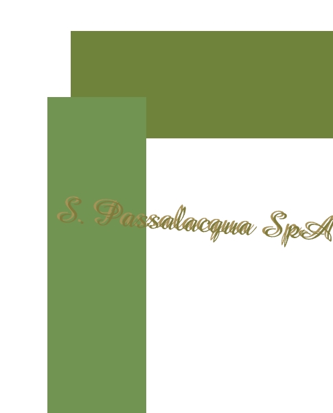 logo S. Passalacqua SpA