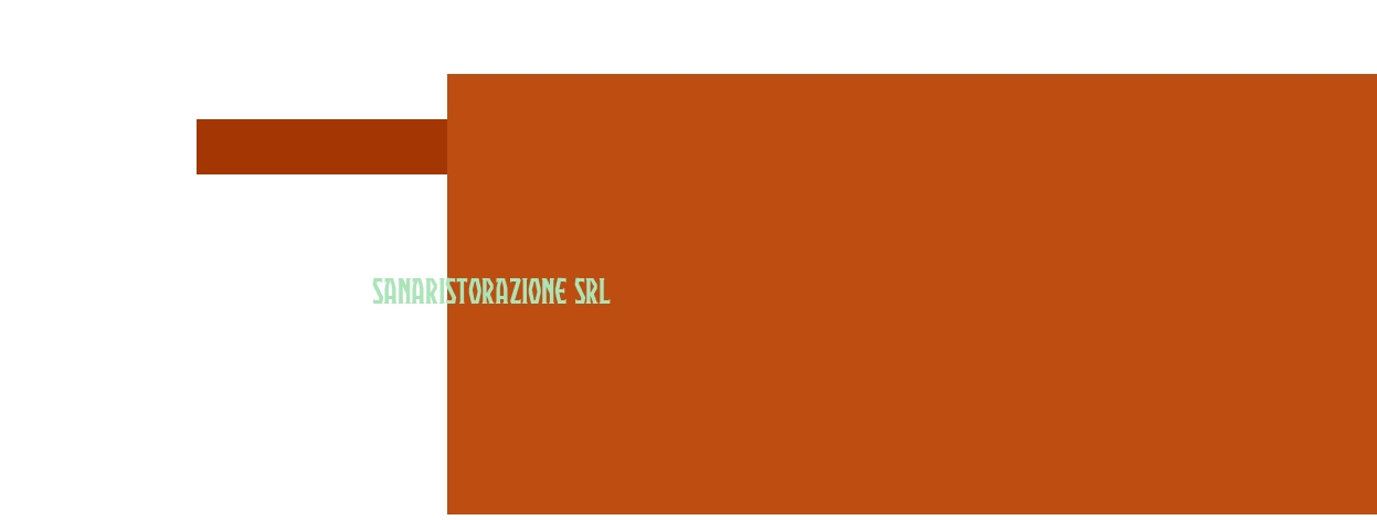 Sanaristorazione Srl