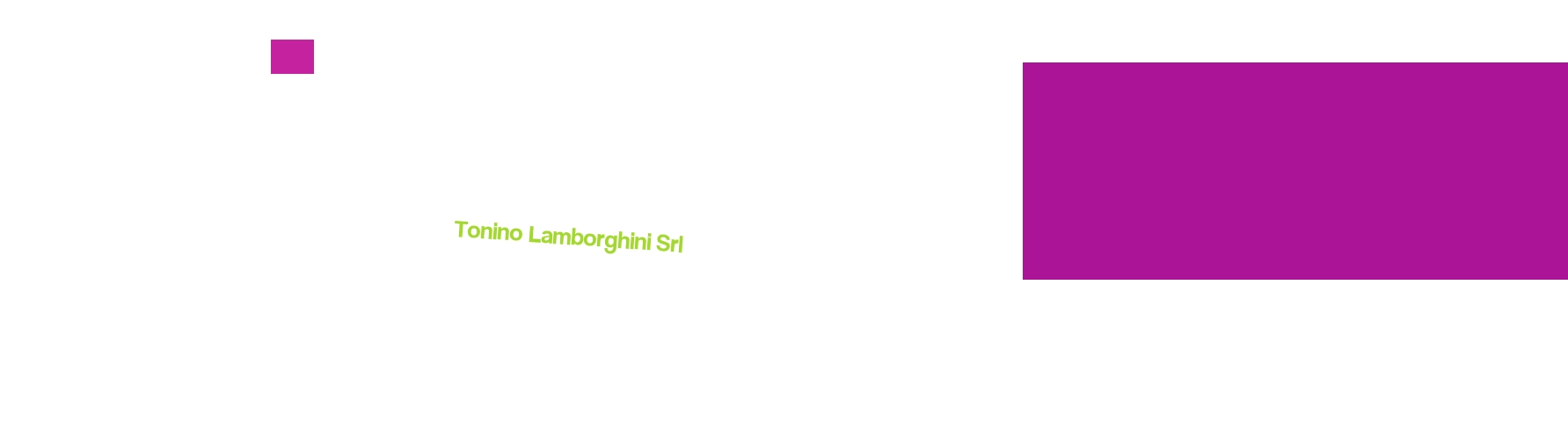 Tonino Lamborghini Srl