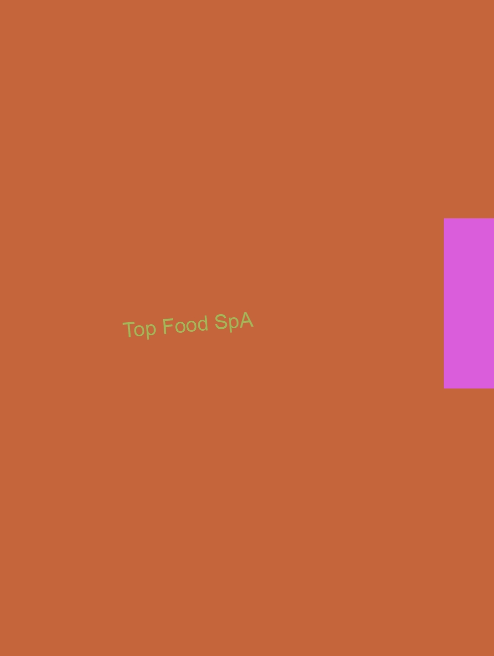 Top Food SpA