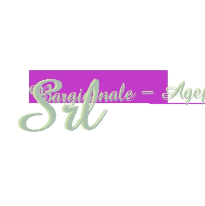 Bargiornale - Agepe Srl