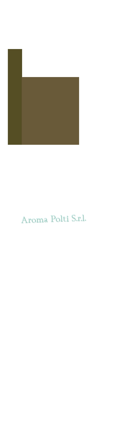 Aroma Polti S.r.l.