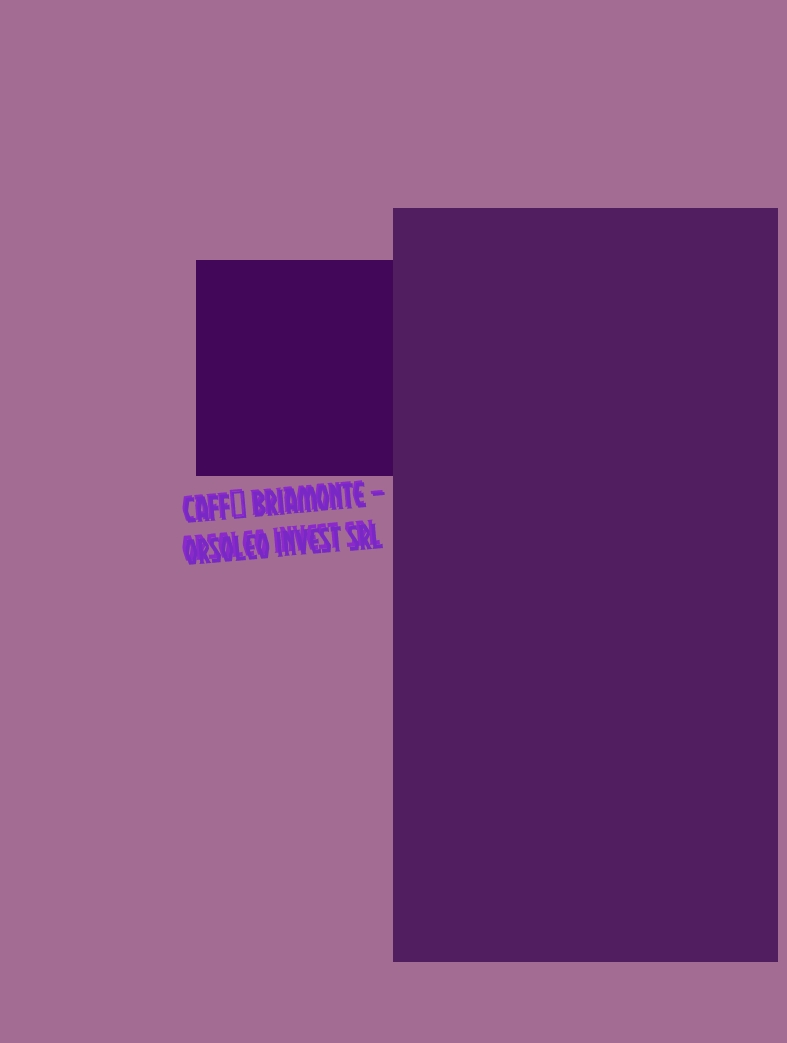 Caffè Briamonte - Orsoleo Invest Srl