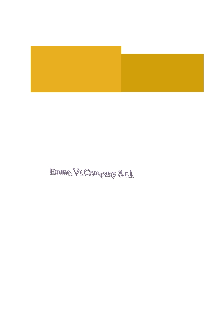 Emme.Vi.Company S.r.l.
