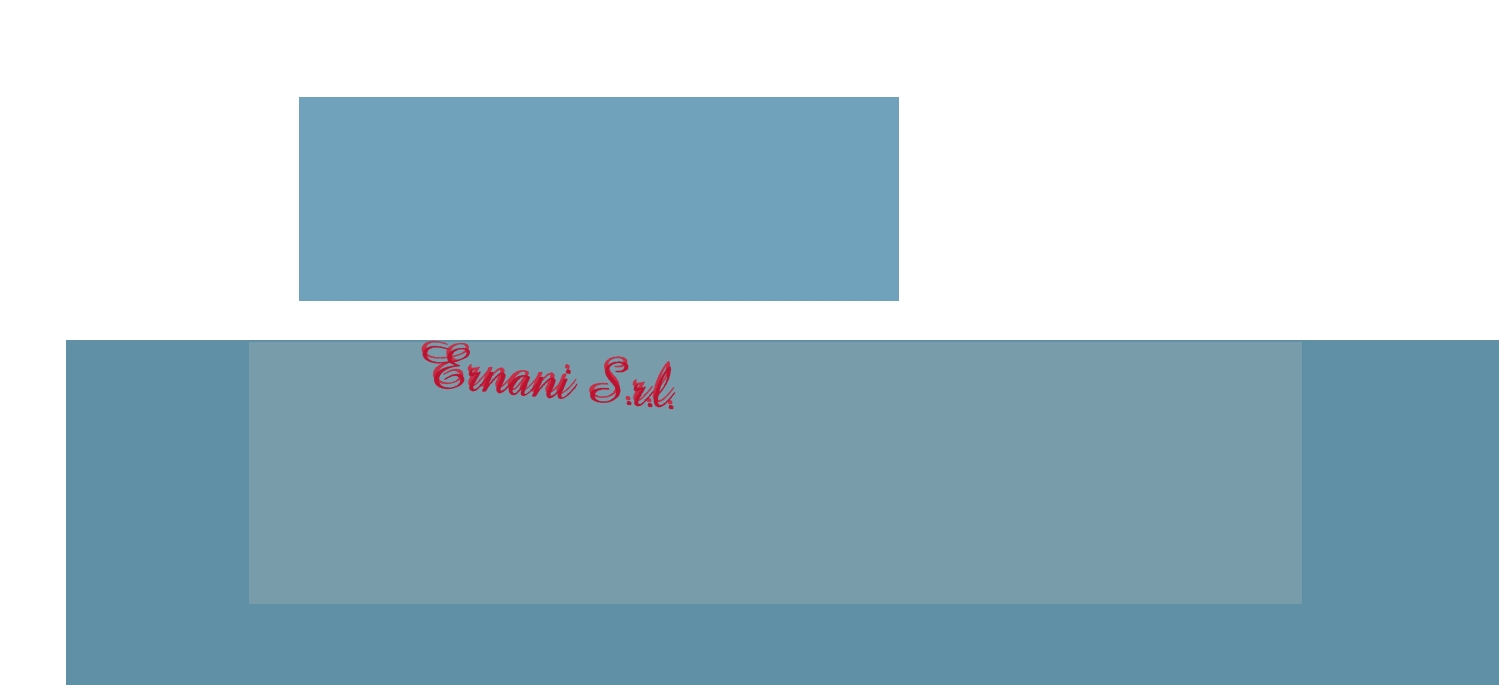 logo Ernani S.r.l.