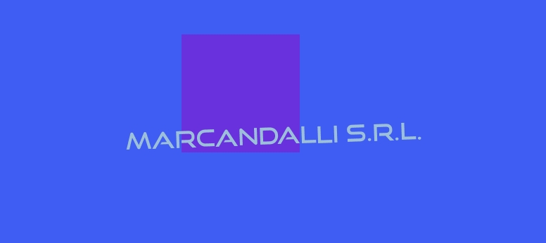 logo Marcandalli S.r.l.