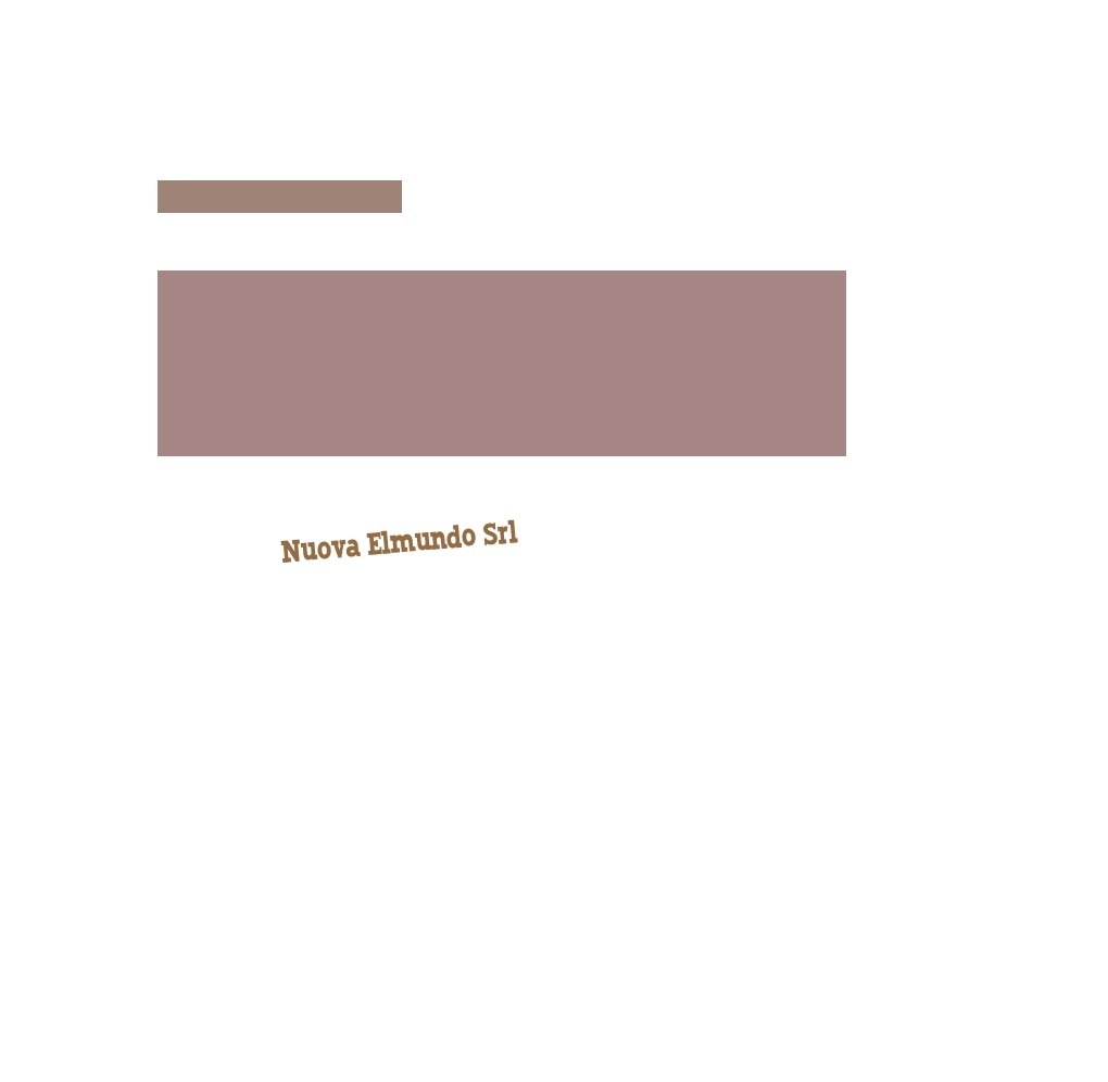 Nuova Elmundo Srl