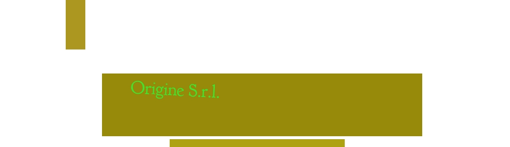 Origine S.r.l.
