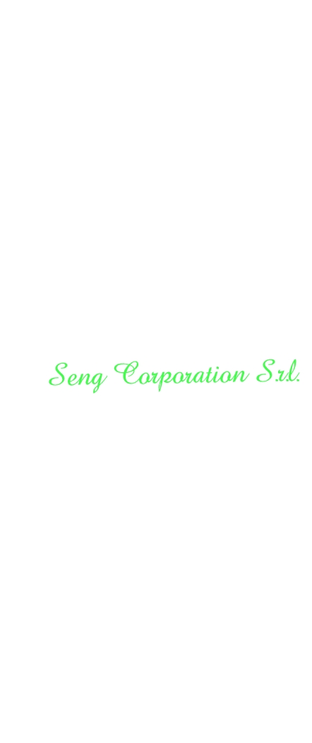logo Seng Corporation S.r.l.