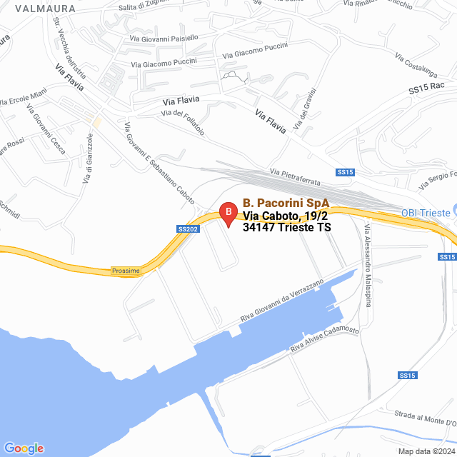 apri la mappa di B. Pacorini SpA