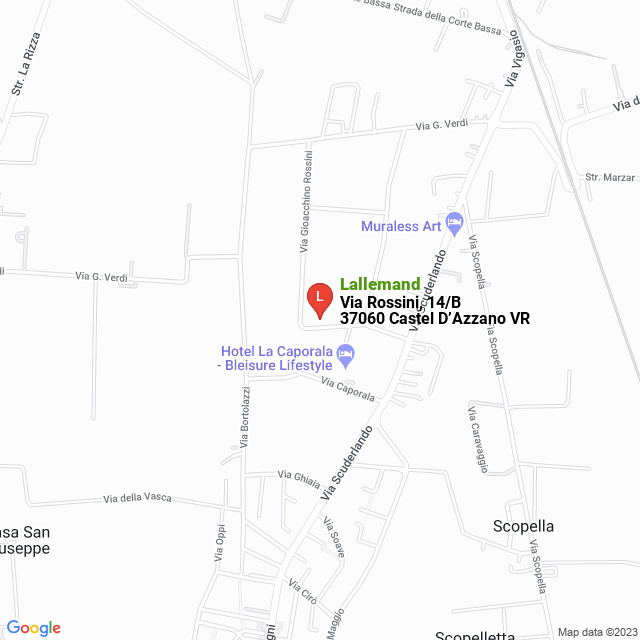 apri la mappa di Lallemand