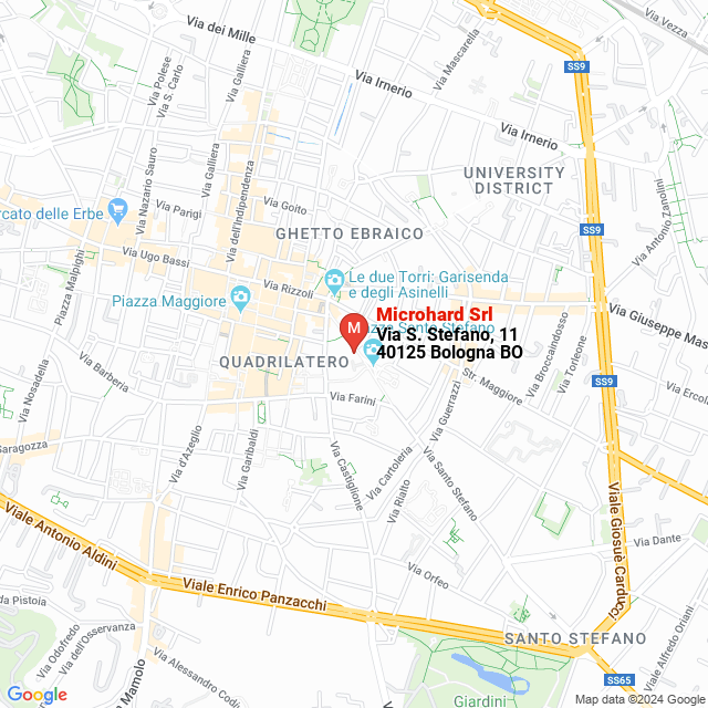 apri la mappa di Microhard Srl