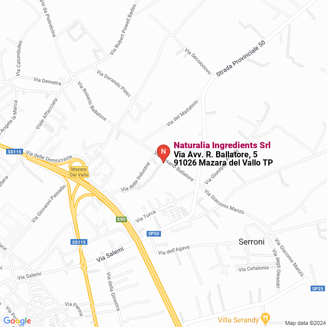 apri la mappa di Naturalia Ingredients Srl