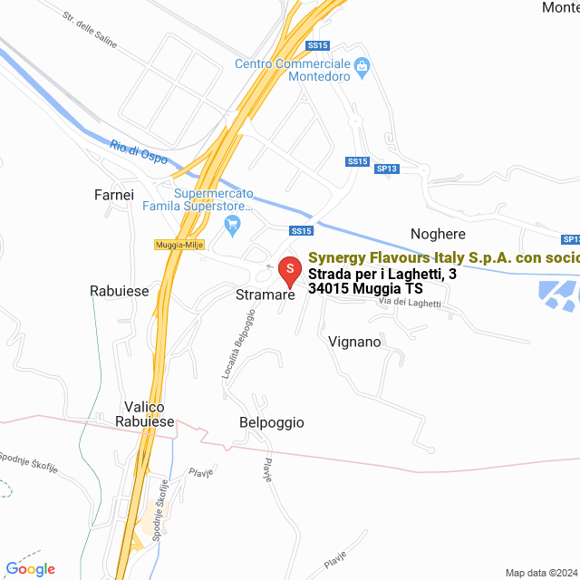 apri la mappa di Synergy Flavours Italy S.p.A. con socio unico