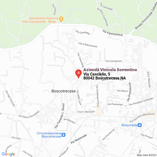 apri la mappa di Azienda Vinicola Sorrentino