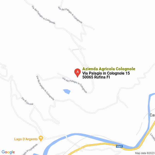 apri la mappa di Azienda Agricola Colognole