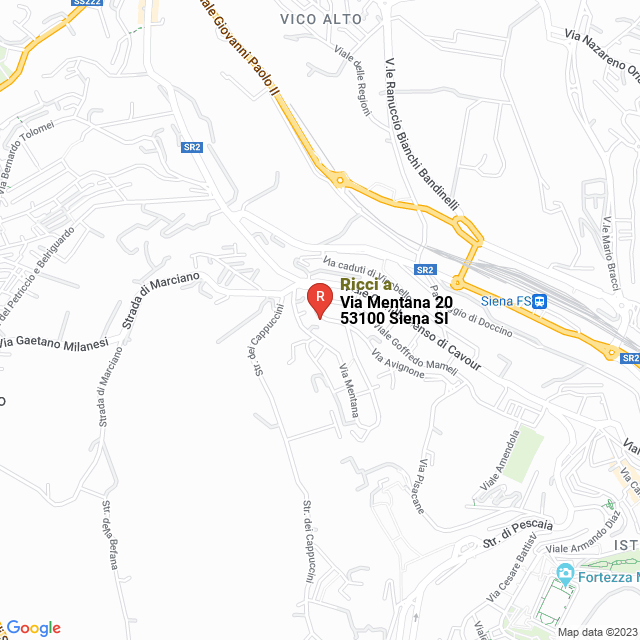 apri la mappa di Ricci a