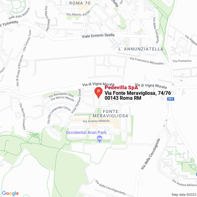 apri la mappa di Pedevilla SpA